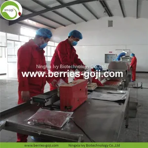 Factory For Sale Dried Conventional Goji Berry thumbnail-4