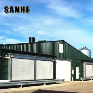 Steel Structure Farm Building Chicken House Broiler Layer Poultry House thumbnail-3