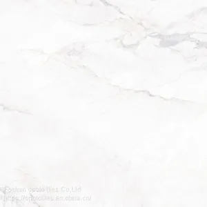 Fullbody Tiles / Glazed Tiles 800X800 thumbnail-1