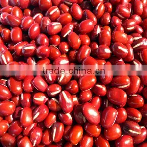 Organic Adzuki Bean thumbnail-1