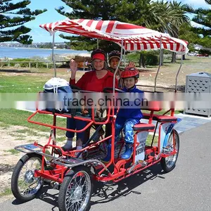 Fashionable Four Wheel Bike For Adult Surrey Bike thumbnail-4