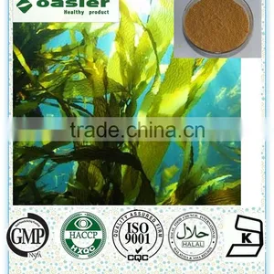 Factory Supply Kelp Extract In Best Selling thumbnail-1
