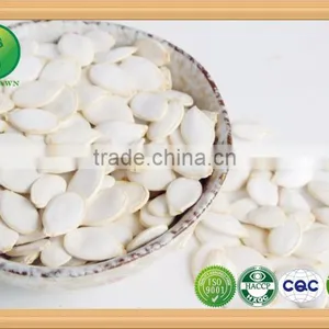 China,InnerMogolia,2015,high Quality,Green Snow White Pumpkin Seeds for Human Consumption thumbnail-3