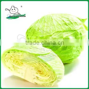 Fresh Green Cabbage/Cabbage From China/New Crop Cabbage thumbnail-1