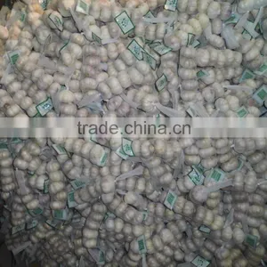 Brand New New Chinese Fresh Pure White Garlic With Great Price thumbnail-1
