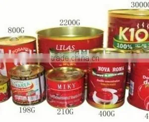 Double Concentrate Canned Tomato Paste Factory Size 70g~3000g. thumbnail-6
