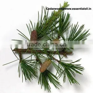 Indian Cedarwood Oil thumbnail-1