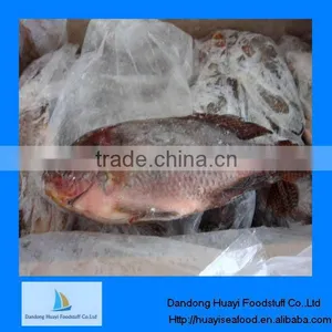 Frozen Fish Frozen Tilapia thumbnail-1