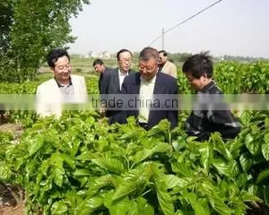 Anhui Kexin Cocoon Industry Co., Ltd. company overview - view 2 thumbnail