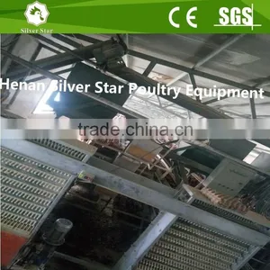 Automatic Egg Collecting Machine for Chicken Layer House Shed thumbnail-2