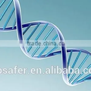 9703 Series Gradient PCR Instrument,PCR Machine, PCR Thermal Cycler in China thumbnail-4