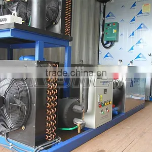 5 Tons Block Ice Making Plant Built in Container thumbnail-2