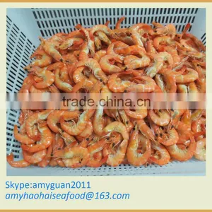Frozen Vannamei Shrimp thumbnail-1