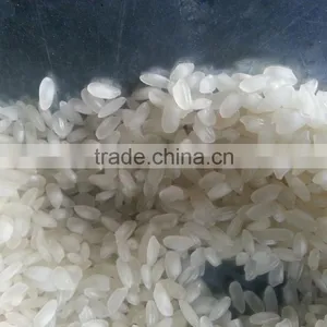 Short Grain Round Rice thumbnail-1