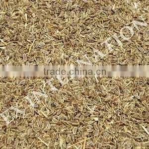 Spice-Dill Seeds / Anthem Graveolens / Suwa thumbnail-2