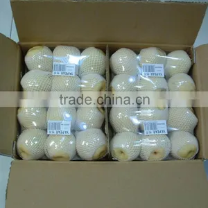 Chinese ya Pear thumbnail-1