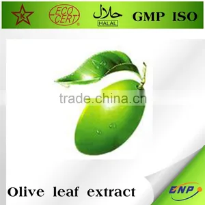 Mytext Olive Leaf Extract/P.E Oleuropein&Hydroxytyrosol thumbnail-1