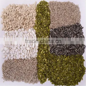 Raw Organic Pumpkin Seeds Shine Skin From China thumbnail-4