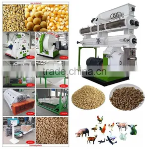 Modern and Automatic Mini Pellets Production for Chicken Feed thumbnail-1