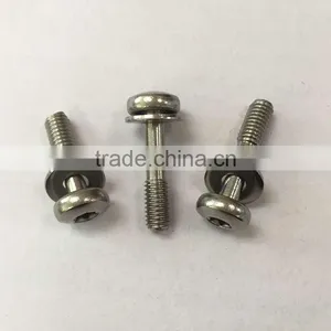 China Supplier Stainless Steel Thumb Screw thumbnail-5