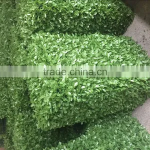 High Quality Plastic Artificial Boxwood Hedge Green Wall thumbnail-2
