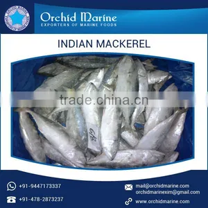 Low Price Whole Indian Mackerel Frozen Fish for Various Food Dishes thumbnail-4