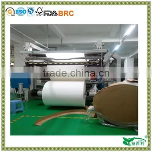 Bohui Paper 260GSM+15PE+15PE Paper Cups Roll thumbnail-1