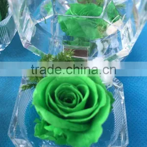 Kunming Flower Exporter Mulit Color Cheap Preserved Rose Flower Head Forever Lasting Rose For Wedding Home Decoration thumbnail-1