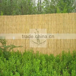 Reed Fence thumbnail-2