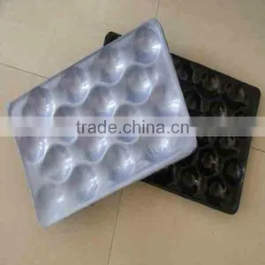 Popular Whole Kroger PP Plastic Fruit and Vegetable Display Trays thumbnail-1