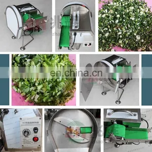 2018 Hot Sale Small Typle Vegetable Cutting Machine for Home thumbnail-6