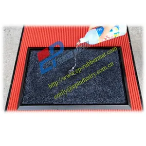 Rubber tray +Insert sanitizing mat system