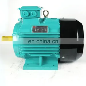 Newly Electric Motor Y2 Phase Induction Motor AC Motor thumbnail-2