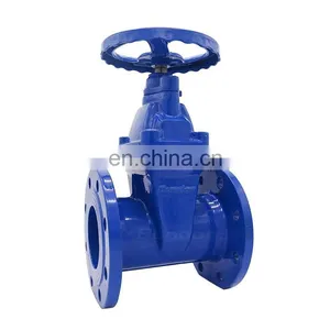 Bundor 4 Inch Water Gate Valve DN250 Ductile Iron Gate Valve thumbnail-1