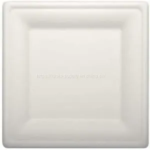 10 Inch Wholeasale Price Eco Friendly Biodegradable Sugarcane Bagasse Square Plate China Supplier thumbnail-1