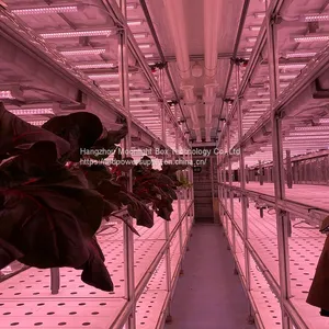 Hydroponic Plant Factory Autopot Artificial Light System Grow Cabinet Kit Systems for Agriculture thumbnail-4