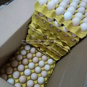 Fresh Eggs for Hong Kong Market thumbnail-1