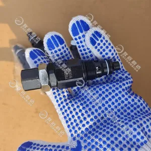 Hydraulic Relief Valve 150603010001A025 for SANY Excavator Loader Crane Genuine Spare Parts High Pressure Protection thumbnail-3