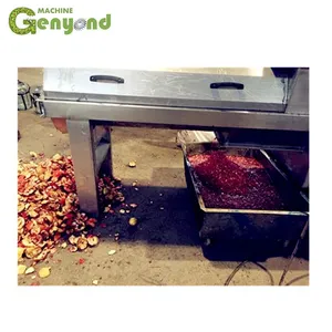 Pomegranate Seeds Peeling Machine/pomegranate Processing Machine thumbnail-1