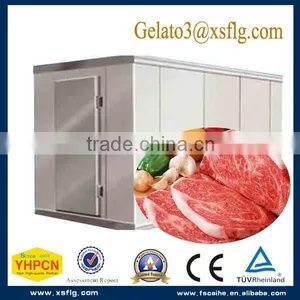 Cold Room Custom Size China Instant Freezer Supplier thumbnail-1