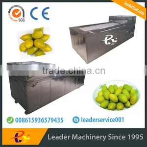Leader Fruit Pitting Machine With CE&ISO thumbnail-1