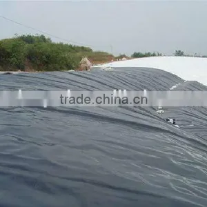 HDPE Geomembrane(1.5mm) for Fish Pond or Landfill Projects thumbnail-5