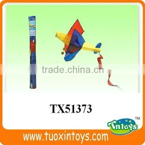 the Chinese Promotional Pocket Kite Factory thumbnail-6