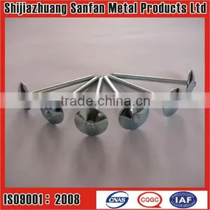 Roofing Nails With Umbrella Head Factory thumbnail-1