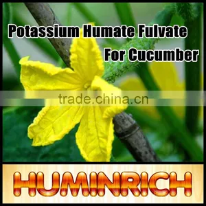 FAQ 2--Potassium Humate Fulvic Acid Fertilizer For Cucumber thumbnail-3