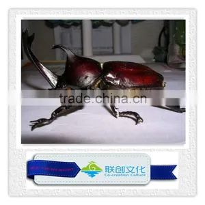 Simulation Mechanical Foam Insect Model thumbnail-1