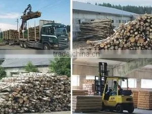 Jsc Woodbioma company overview - view 2 thumbnail