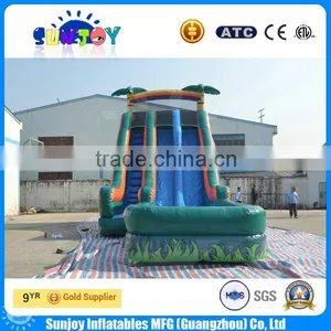 Coconut Palm Double Lane Inflatable Water Slide With Pool thumbnail-1