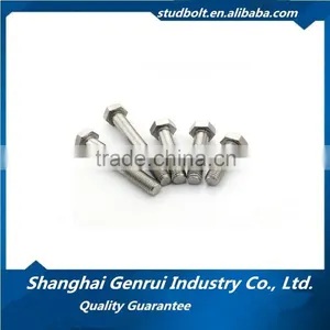Made in China Stainless Steel Hex Head Bolt 316 thumbnail-5