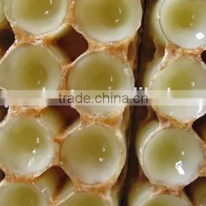 Bee Products Royal Jelly Chinese thumbnail-5
